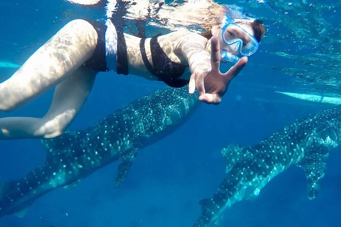 Whale Watching in Sumilon Island with Ocean View Resort and Lunch - Why this Cebu day starts before sunrise